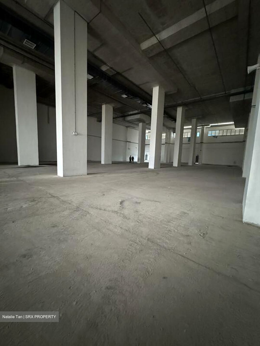 FOOD ASCENT (D22), Factory #522525141